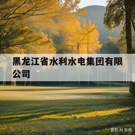 黑龙江省水利水电集团有限公司(黑龙江省水利水电集团有限公司怎么样)